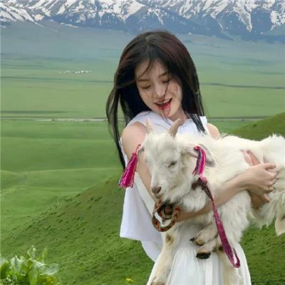 风间公亲－教场0－